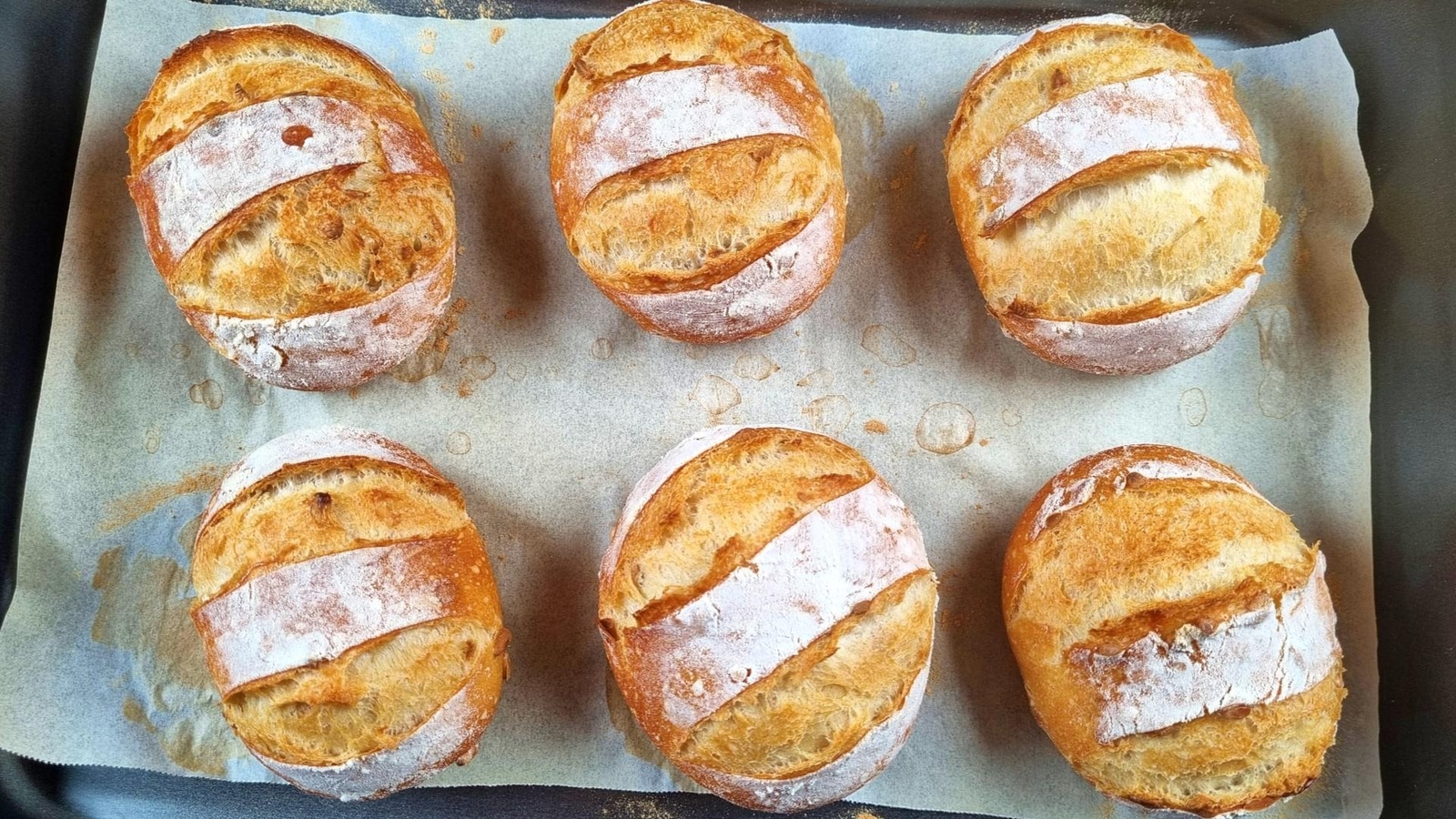 Crispy Sunflower Seed Bread Rolls