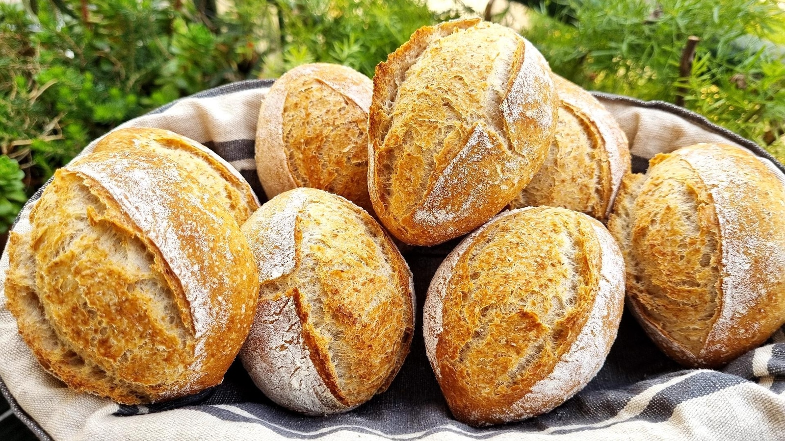 Daily Bread Rolls - 8 Pieces