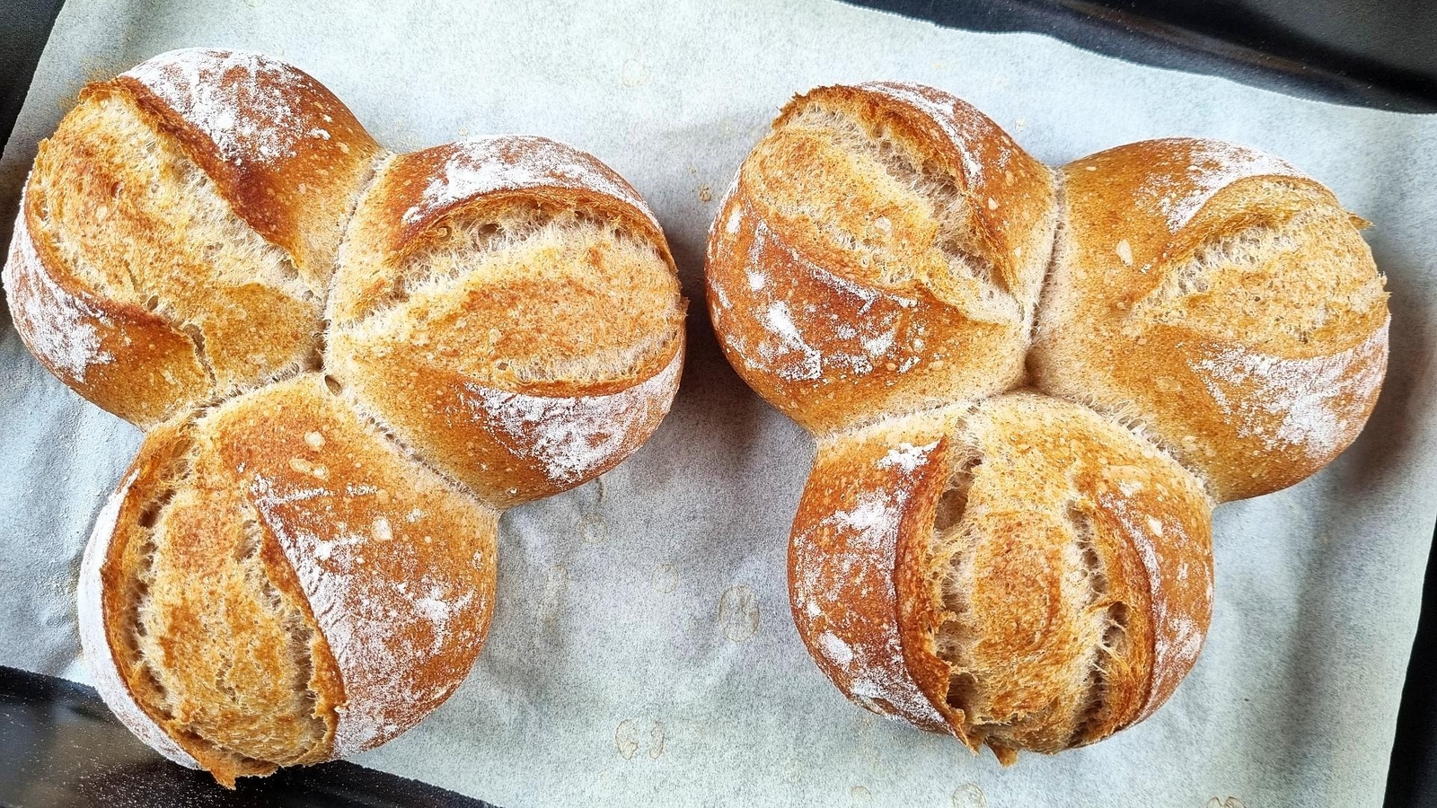 Easy No-Knead Bread Rolls