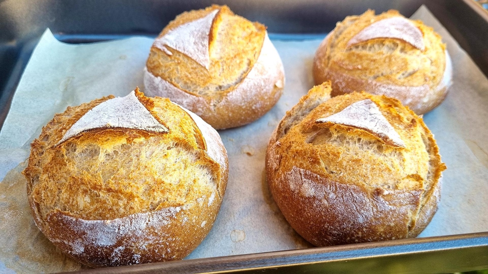 4-Ingredient Daily Whole Wheat Bread