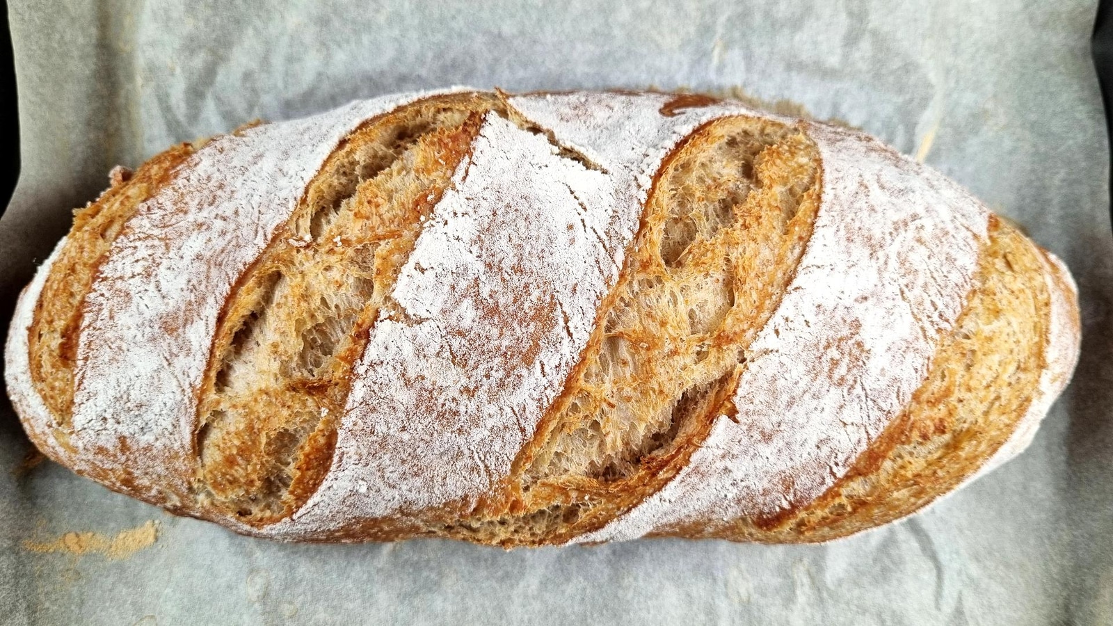 Rustic Whole Wheat Artisan Bread