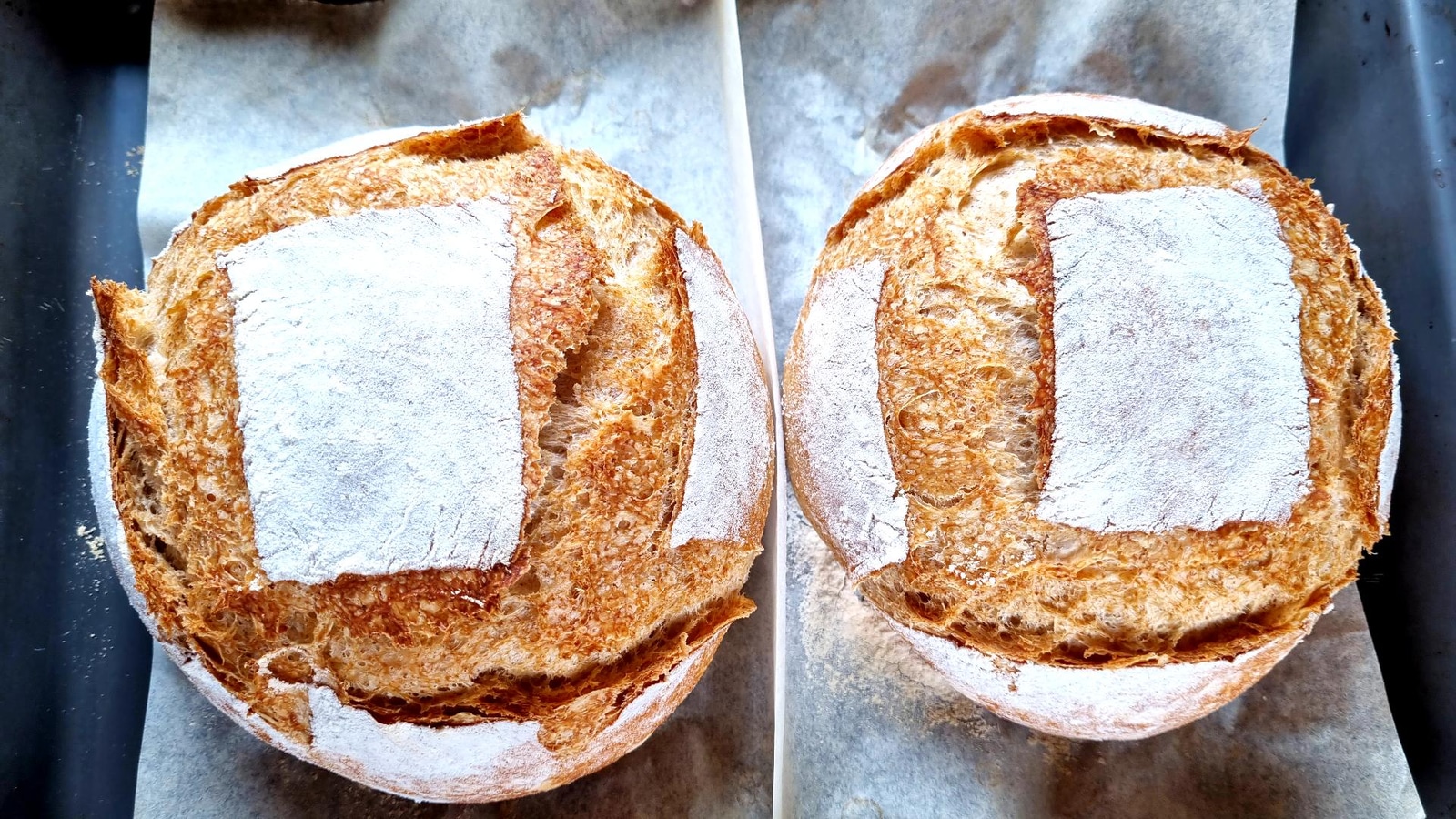 Perfect Whole Wheat Bread